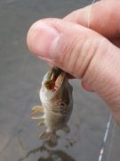 20140410_175851.jpg