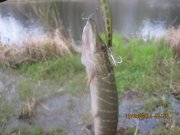 IMG_0017.JPG