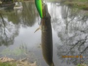 IMG_0018.JPG