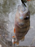 20140412_074309.jpg