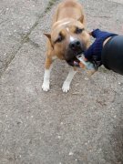 20140412_074323.jpg