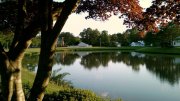 Nature___Rivers_and_lakes_Silent_pond_in_Germany_047803_23.jpg