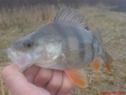 DSC01440.JPG