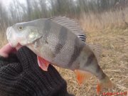 DSC01443.JPG