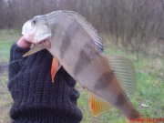 DSC01444.JPG