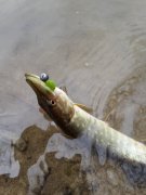 20140413_124145.jpg