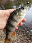 20140416_152134.jpg