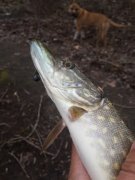 20140417_101638.jpg