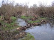 IMG_9756.JPG