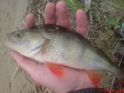DSC01455.JPG