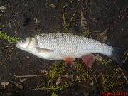 DSC01456.JPG