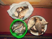 DSCN3214.JPG