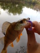 20140422_184158.jpg