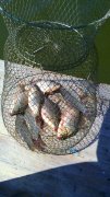 IMG_20140423_120756.jpg