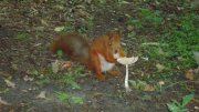 DSC01686.JPG