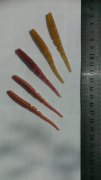 IMAG0587.jpg