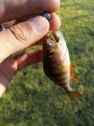 20140426_175726.jpg