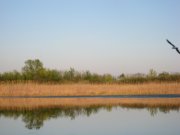 IMG_0169.JPG