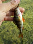 20140427_165332.jpg