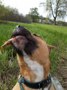 20140427_165411.jpg