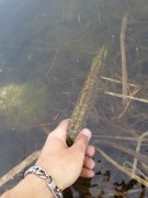 20140427_173348.jpg