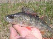 DSC01482.JPG