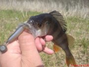 DSC01483.JPG