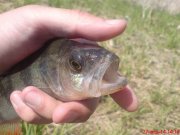 DSC01484.JPG