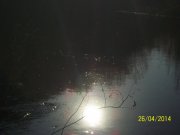 100_5594.jpg