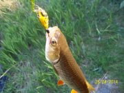 100_5595.jpg