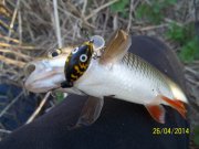 100_5597.jpg