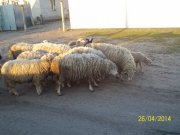 100_5604.jpg