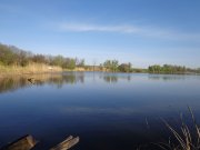DSC02241.JPG