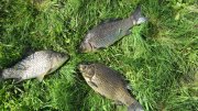 IMG_2118.jpg