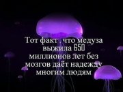 getImage7.jpeg