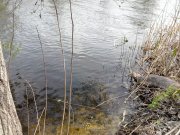 IMG_20140428_120509.jpg