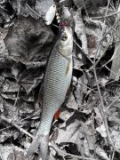 IMG_20140428_120138.jpg