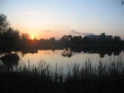 IMG_0008.JPG