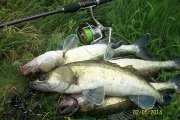 100_8360.jpg
