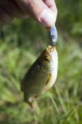 IMG_6151.JPG