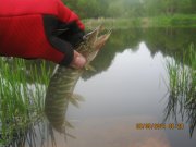 IMG_0022.JPG