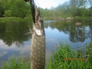 IMG_0024.JPG