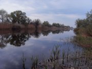 SDC17765 - Copy1.JPG
