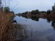 SDC17767 - Copy1.JPG