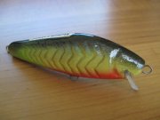 IMG_0222.jpg