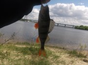 DSCF6506.JPG
