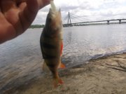 DSCF6503.JPG