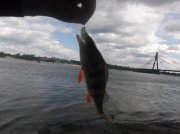 DSCF6504.JPG