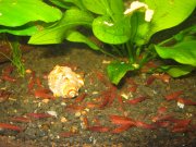 IMG_3052.JPG