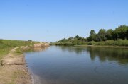 IMG_0984.JPG